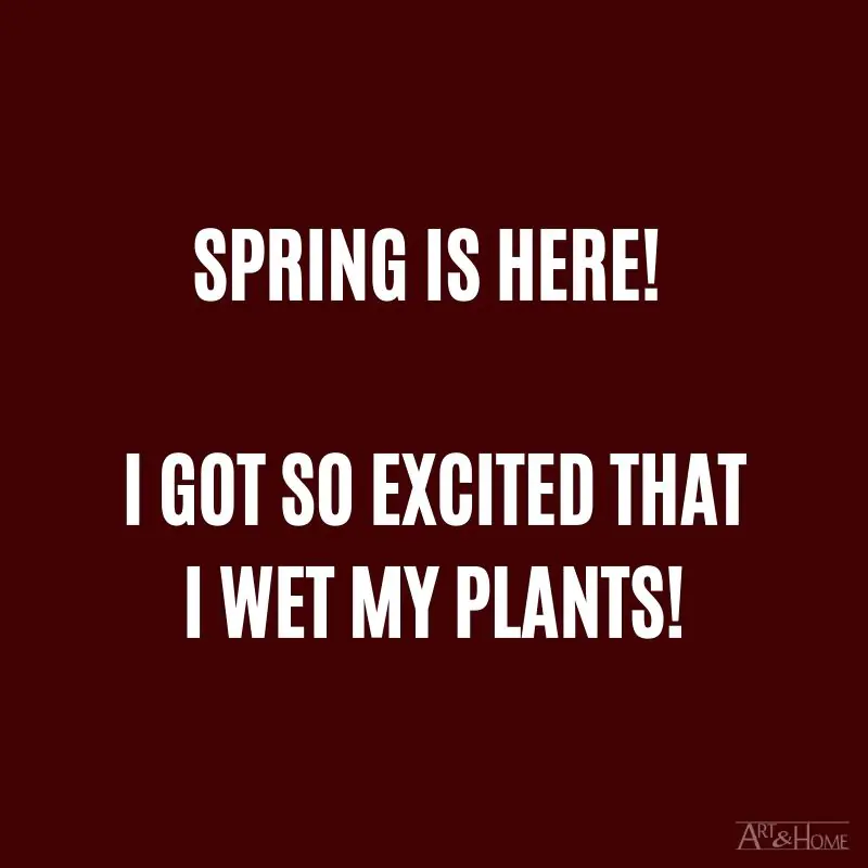 Spring is here! I got so excited I wet my plants! #DadJokes