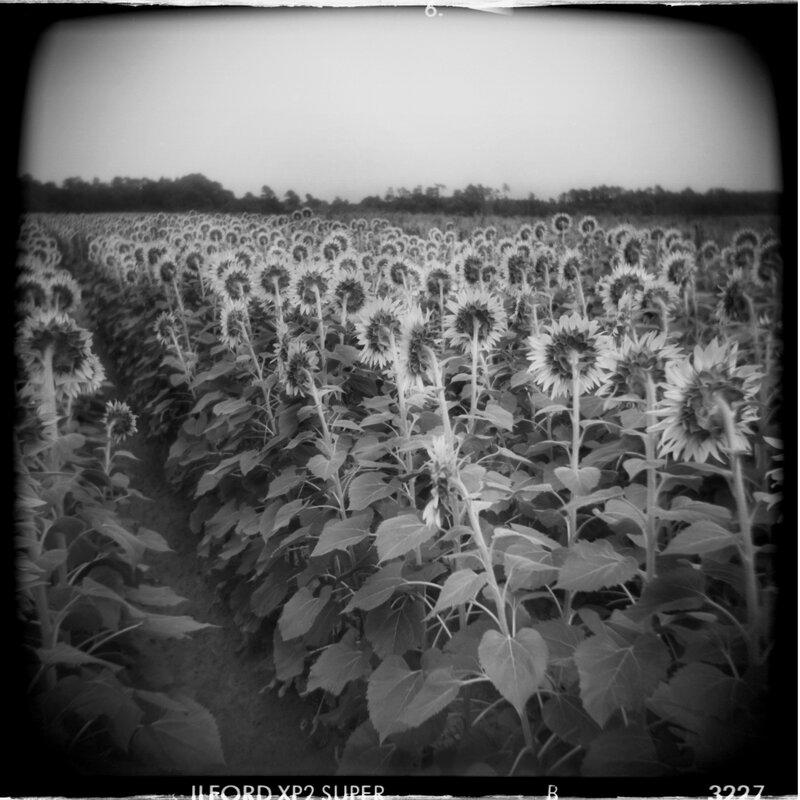 Disgrace Daniel Grant Photographic Print