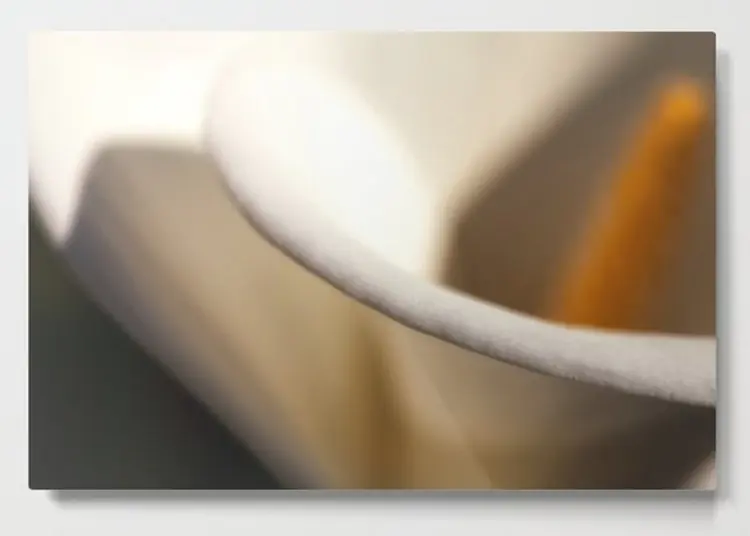 Essence Calla Lily Photographic Print on Metal