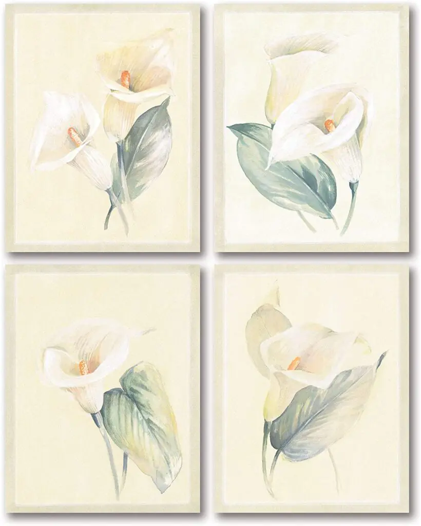 Soft White Calla Lilies 4-Piece Poster Print Set