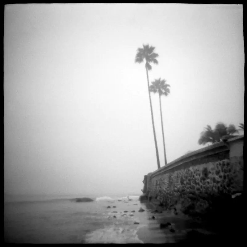 Twin Palms Daniel Grant Photographic Print