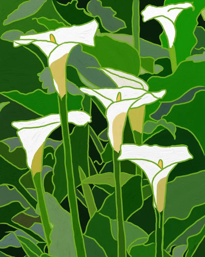 White Calla Lily Digital Art Print