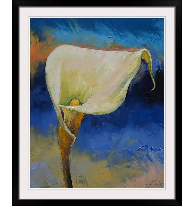 White Calla Lily by Michael Creese Framed Painting Print