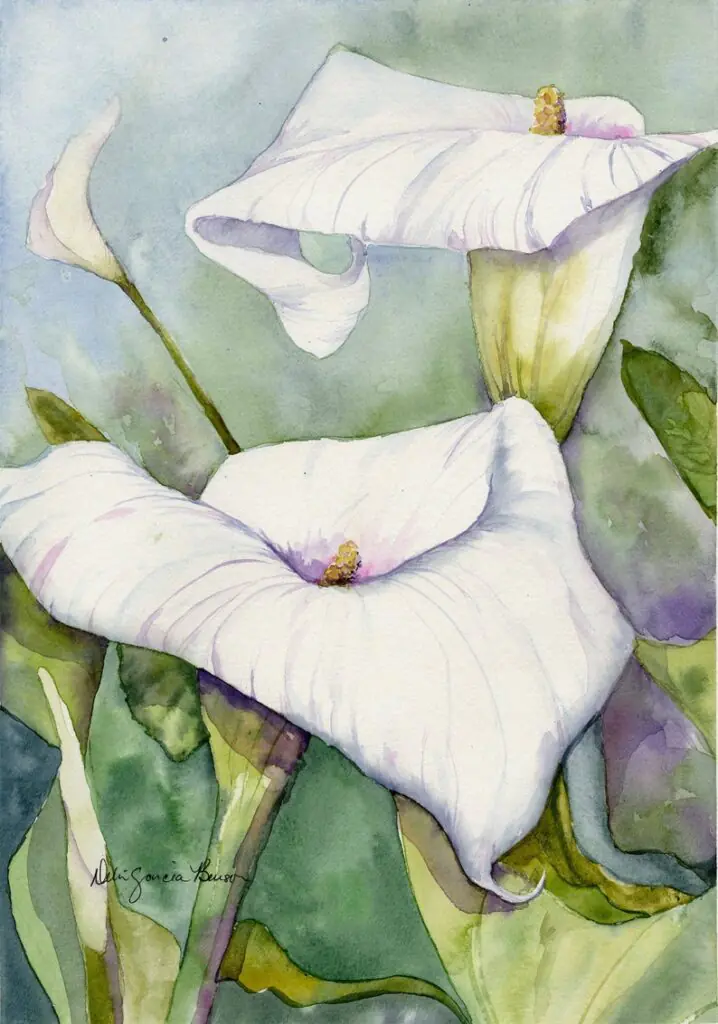 White Calla Lily Original Watercolor Painting by Debi Garcia-Benson