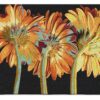 Miami Blooms | Woven Contemporary Floral Tapestry | 39 x 53