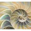 Nautilus Blue | Woven Coastal Tapestry Wall Hanging | 33 x 53