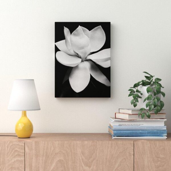 Finding Black & White Art for Your Walls | Wall Art | Art & Home