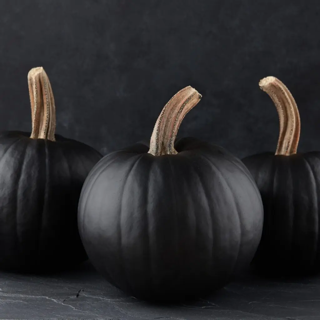 Black Pumpkins