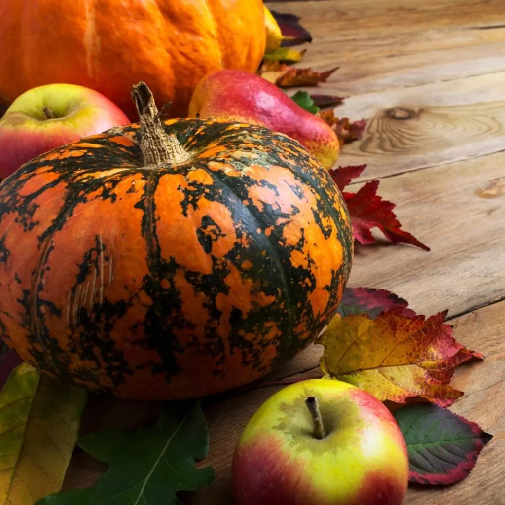Fall Pumpkin and Apples Decor