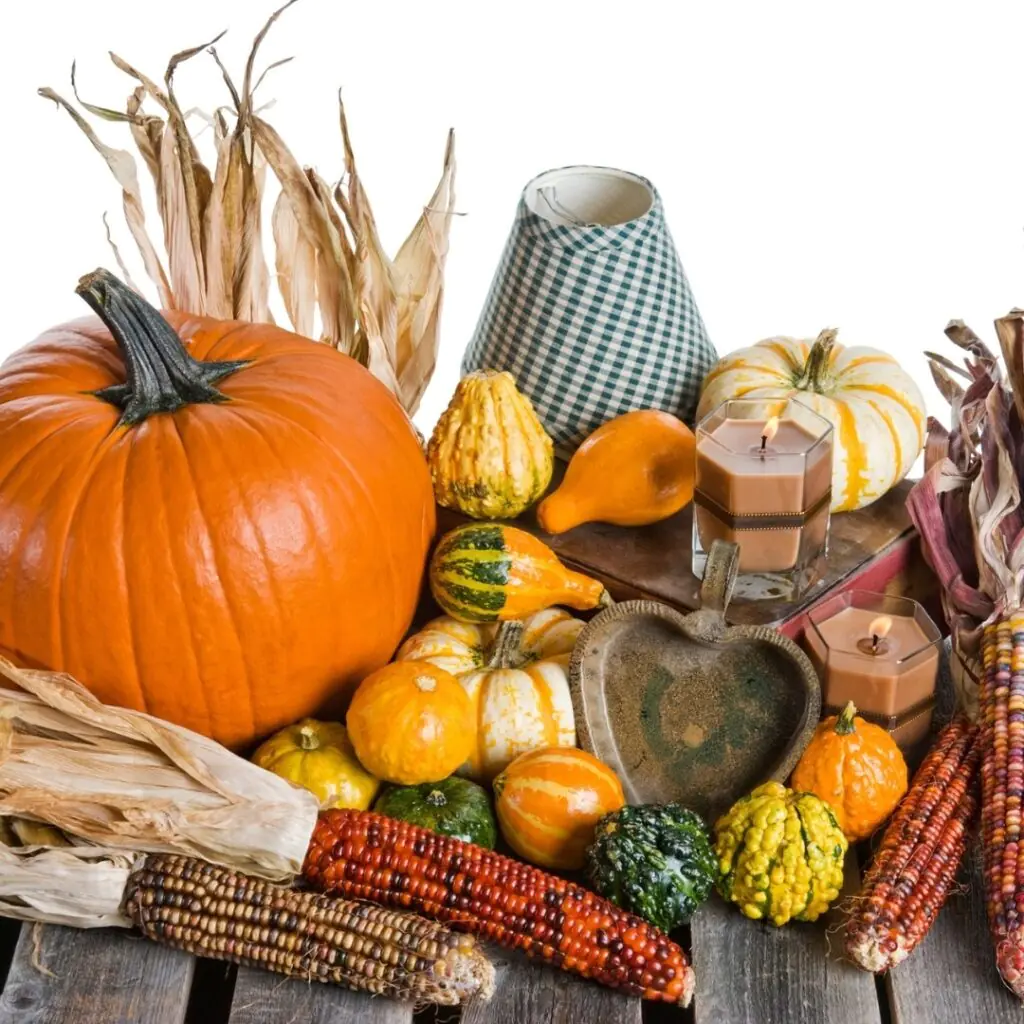 Fall Pumpkins Gourds and Indian Corn