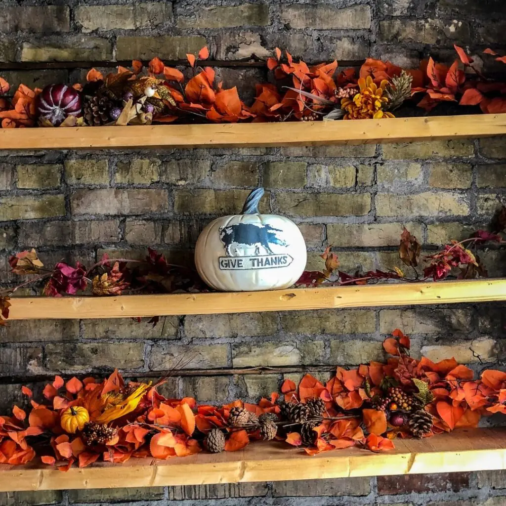 Fall Shelf Diplay