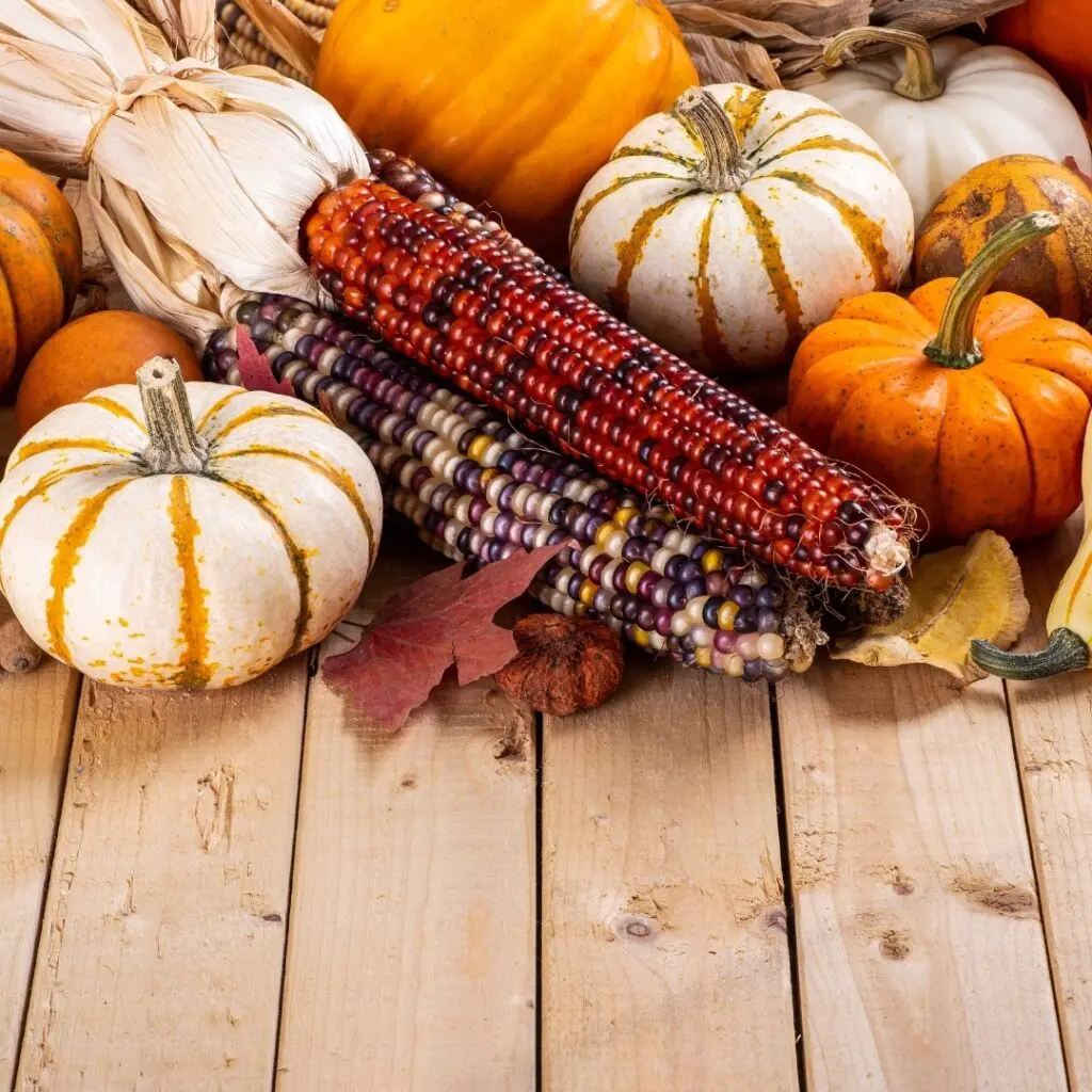 Mini Pumpkins and Indian Corn Decor