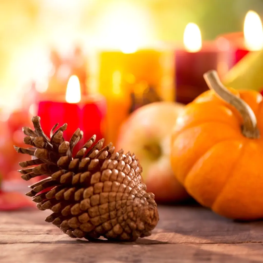Pinecone and Pumpkins