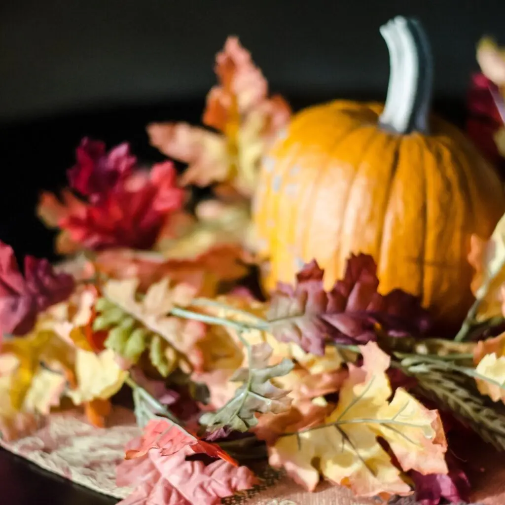 Pumpkin and Fallen Leaves