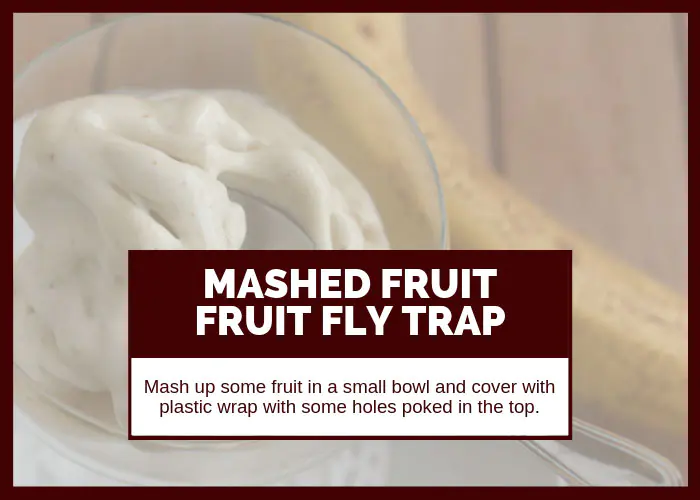 How to Get Rid of Fruit Flies Using Mashed Fruit
