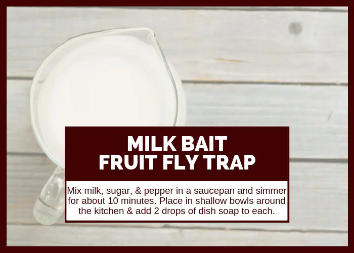 How to Get Rid of Fruit Flies Using Milk