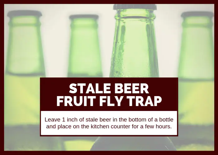 How to Get Rid of Fruit Flies Using Stale Beer