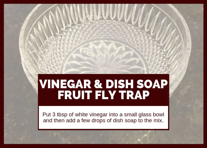 How to Get Rid of Fruit Flies Using Vinegr and Dish Soap