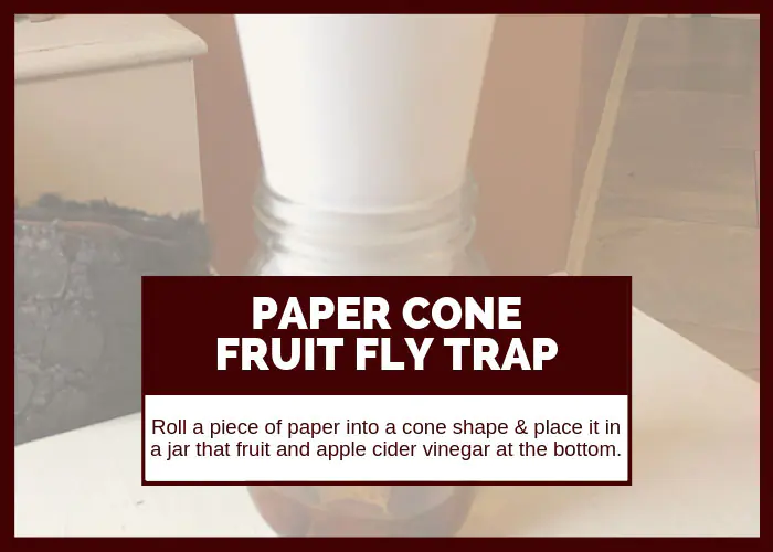 How to Get Rid of Fruit Flies Using a Paper Cone