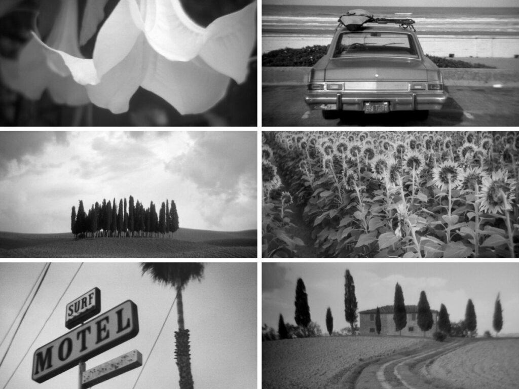 Daniel Grant Photography