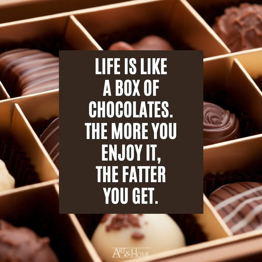 Funny Chocolate Quote