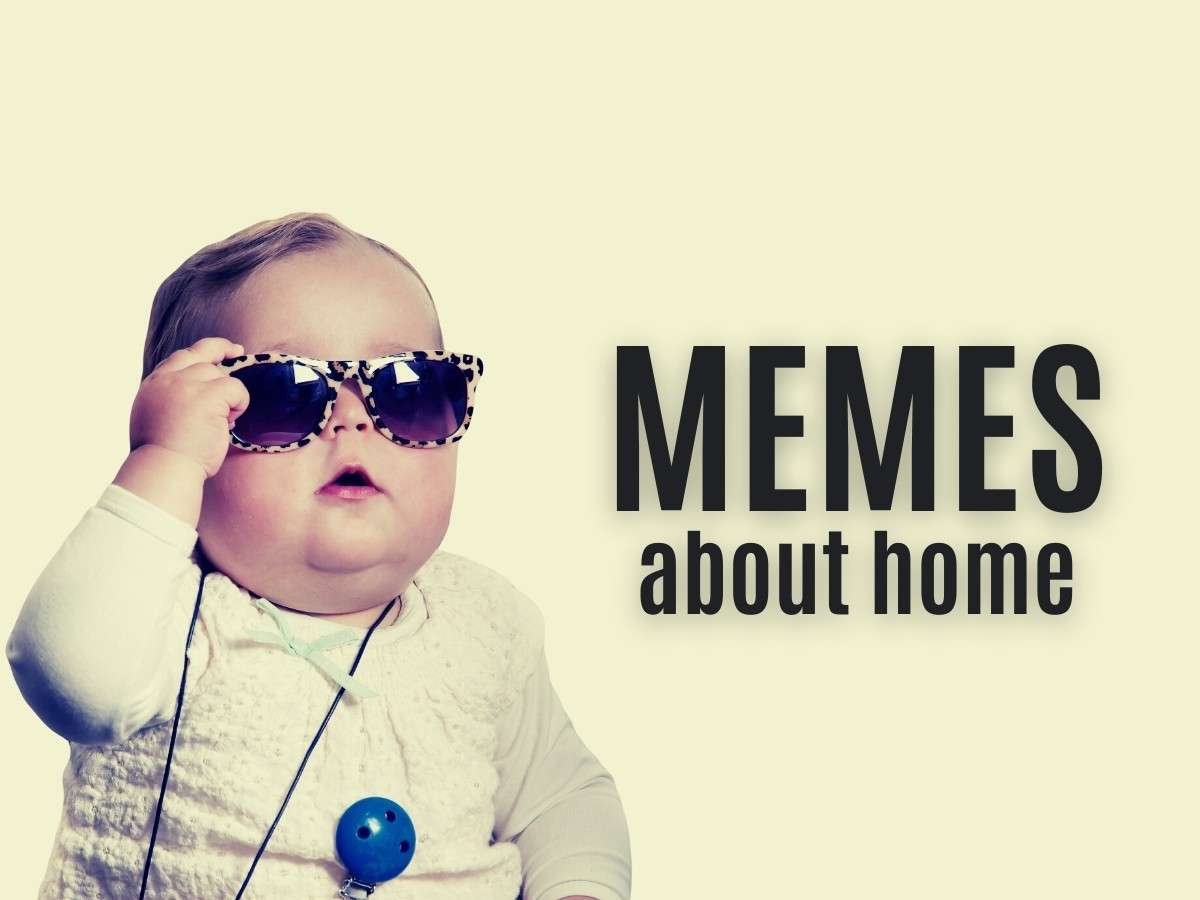 60+ Funny Memes About Home & Life | Art & Home