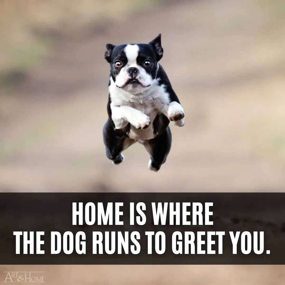 Home is where the dog runs to greet you.