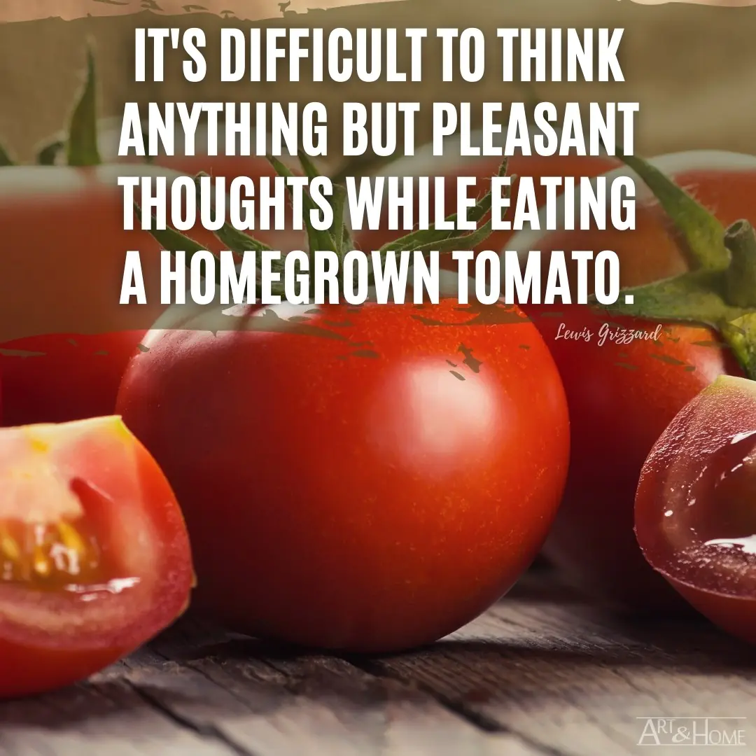 Homegrown Tomato Quote