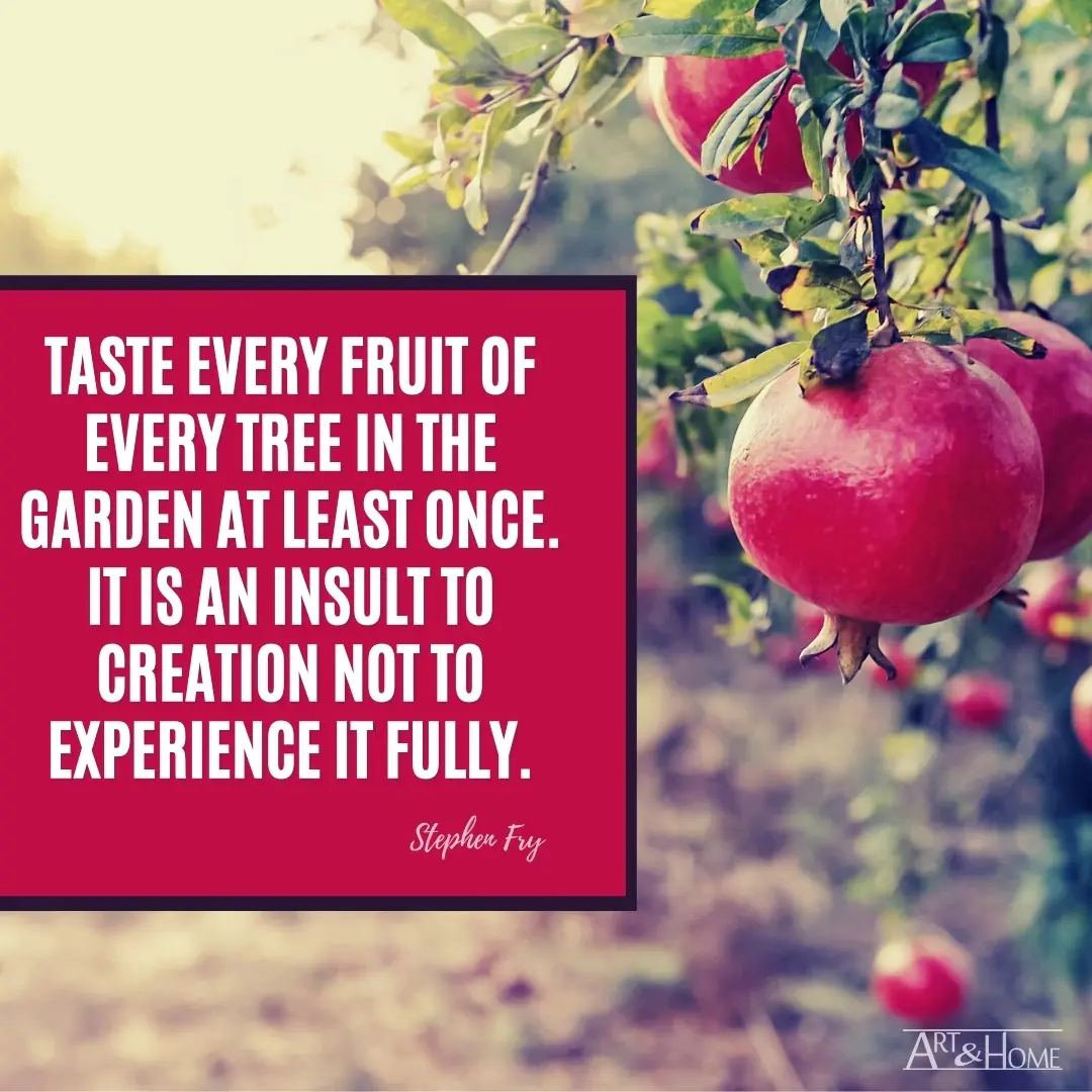 Taste Every Fruit Stephen Fry Quote