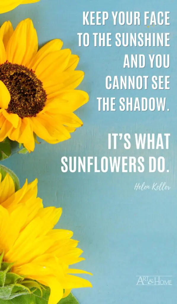 Keep your face to the sunshine and you cannot see the shadow. It’s what sunflowers do. Helen Keller quote
