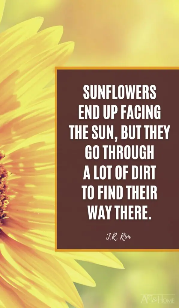 Sunflowers end up facing the sun, but they go through a lot of dirt to find their way there. J.R. Rim quote