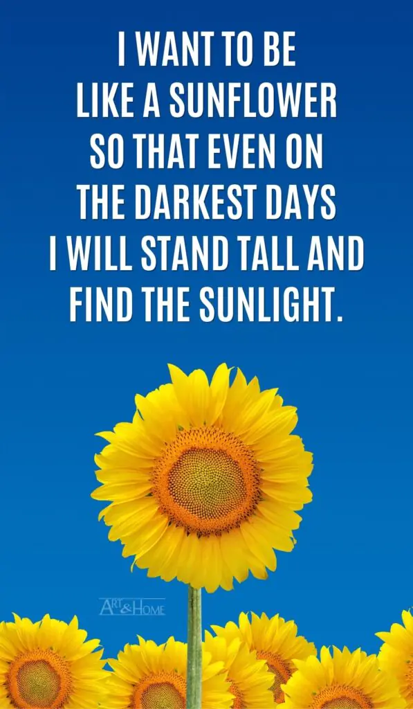 I want to be like a sunflower so that even on the darkest days I will stand tall and find the sunlight.