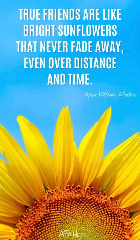 True friends are like bright sunflowers that never fade away, even over distance and time. Marie Williams Johnstone quote