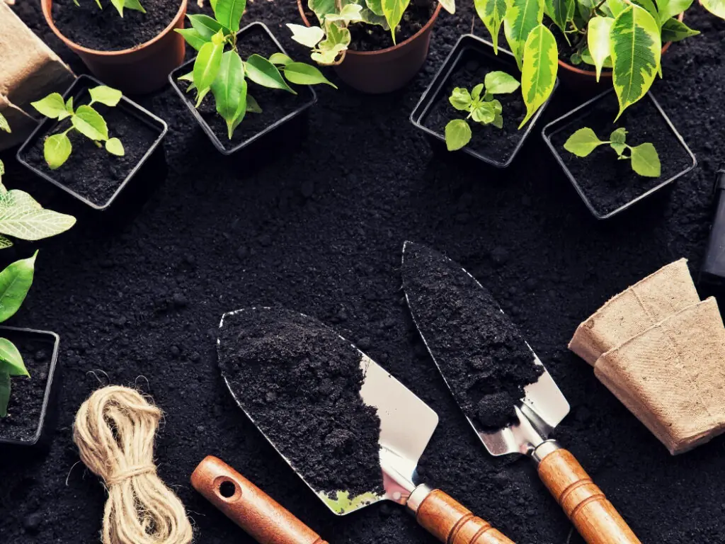 5 DIY Garden Tips to Spruce Up Your Back Yard for Summer