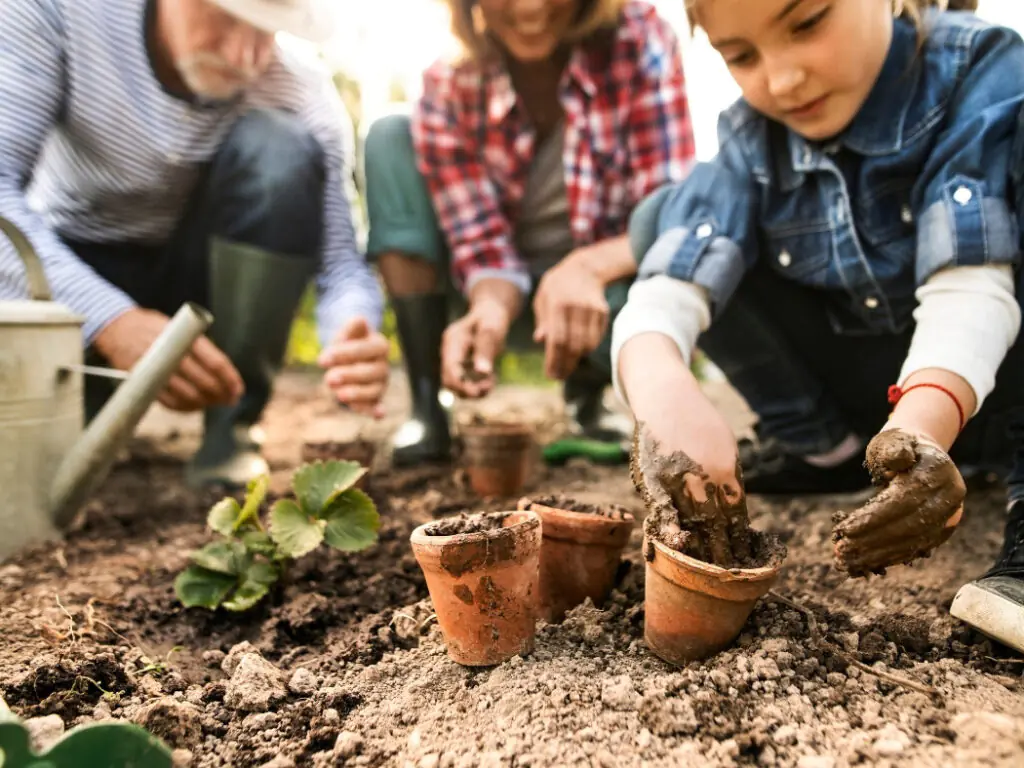 DIY Garden Tips Back Yard