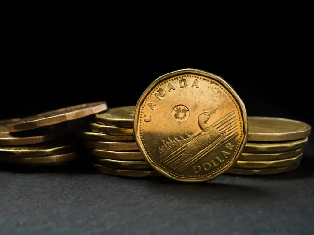 Canadian Slang - What do "Loonie and Toonie" Mean?