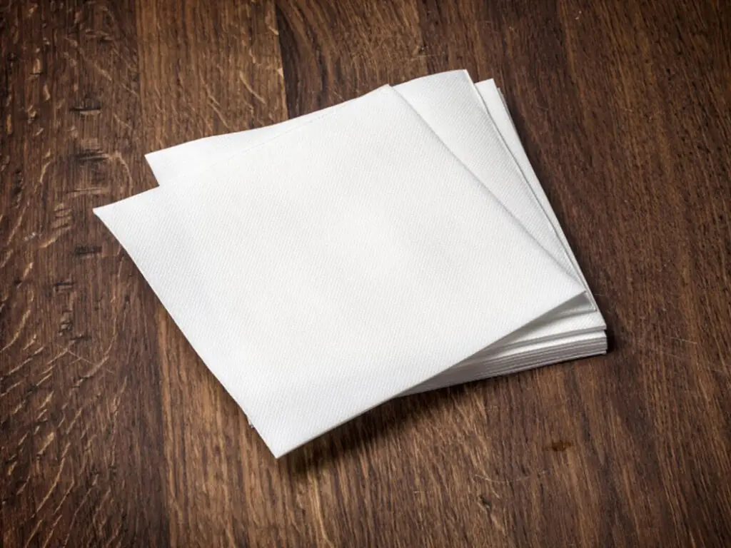 Canadian Slang - What does "Serviette" Mean?