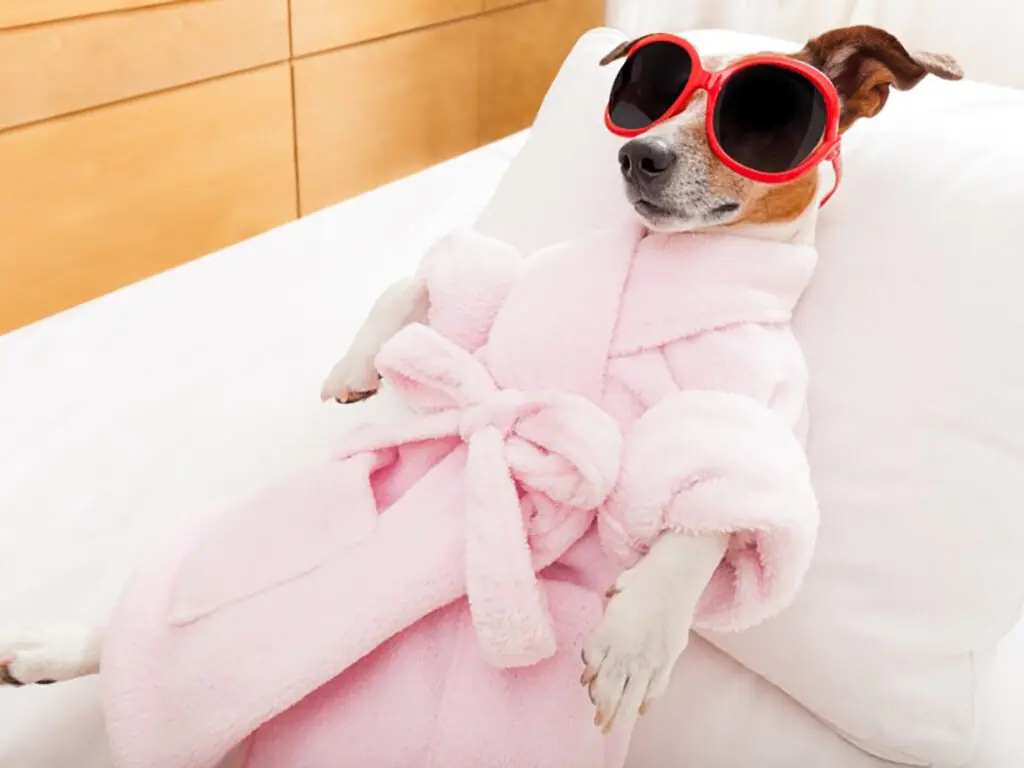 What does "Housecoat" mean in Canada?