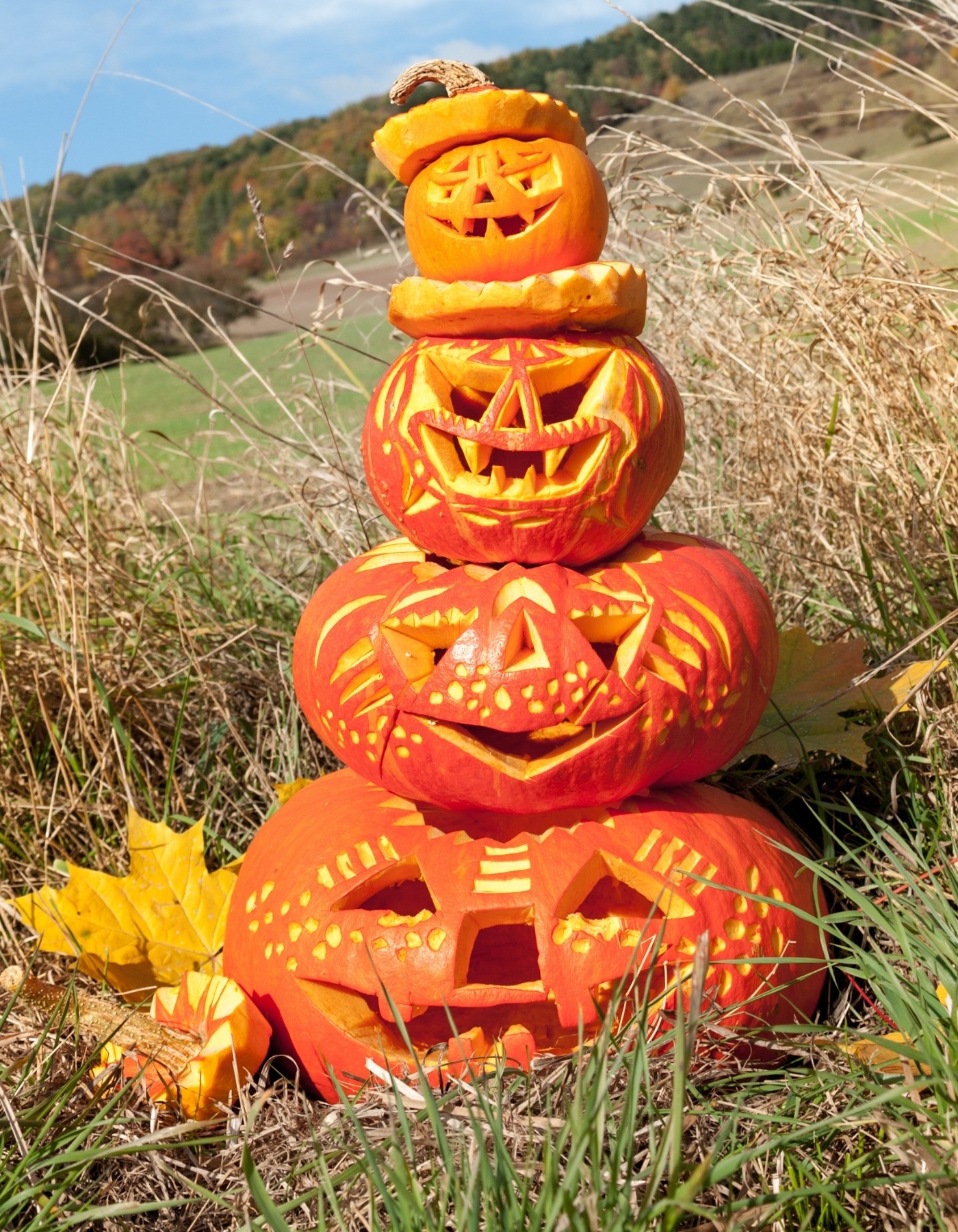 Carved Pumpkin Ideas 2021