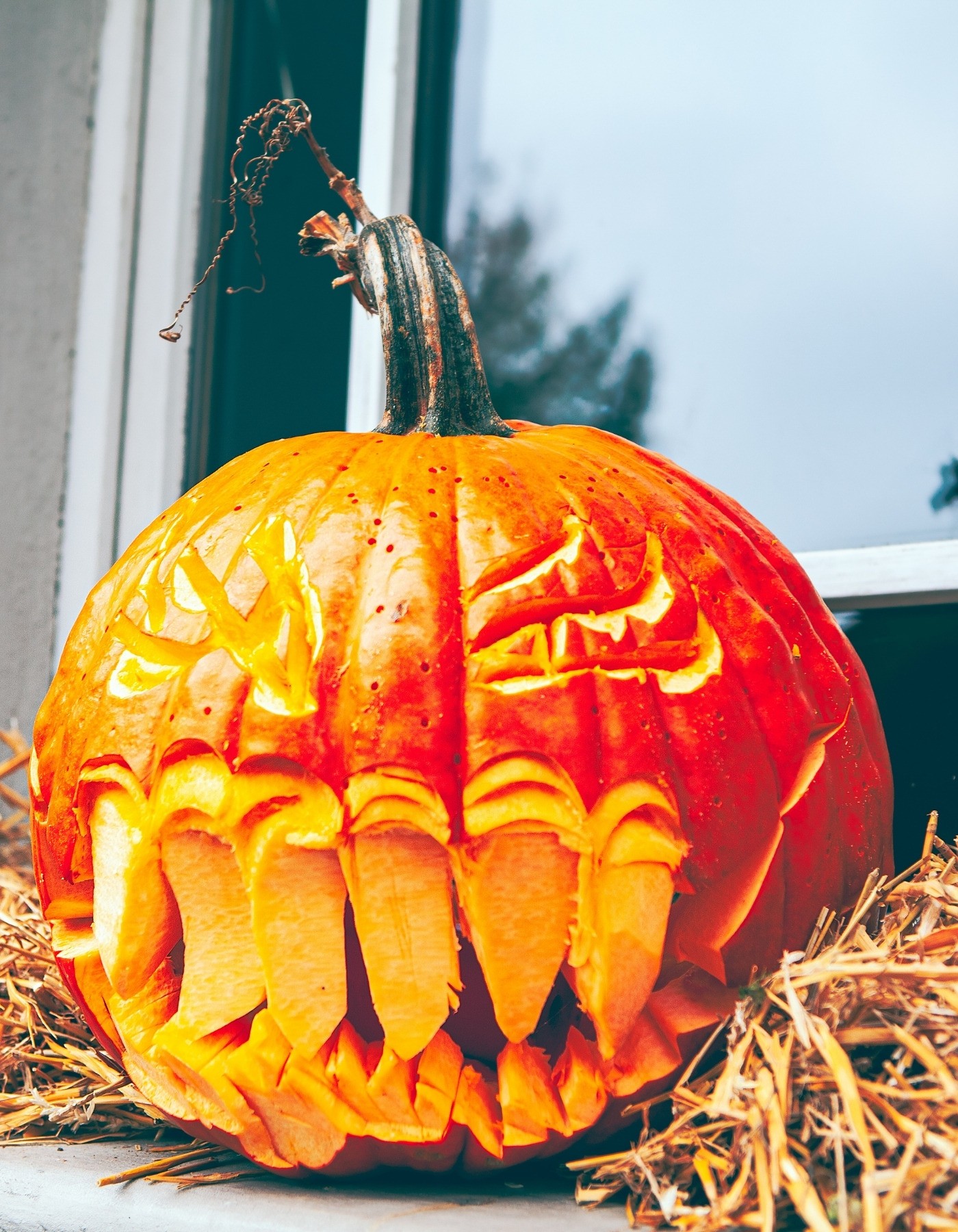 Carved Pumpkin Ideas 2021