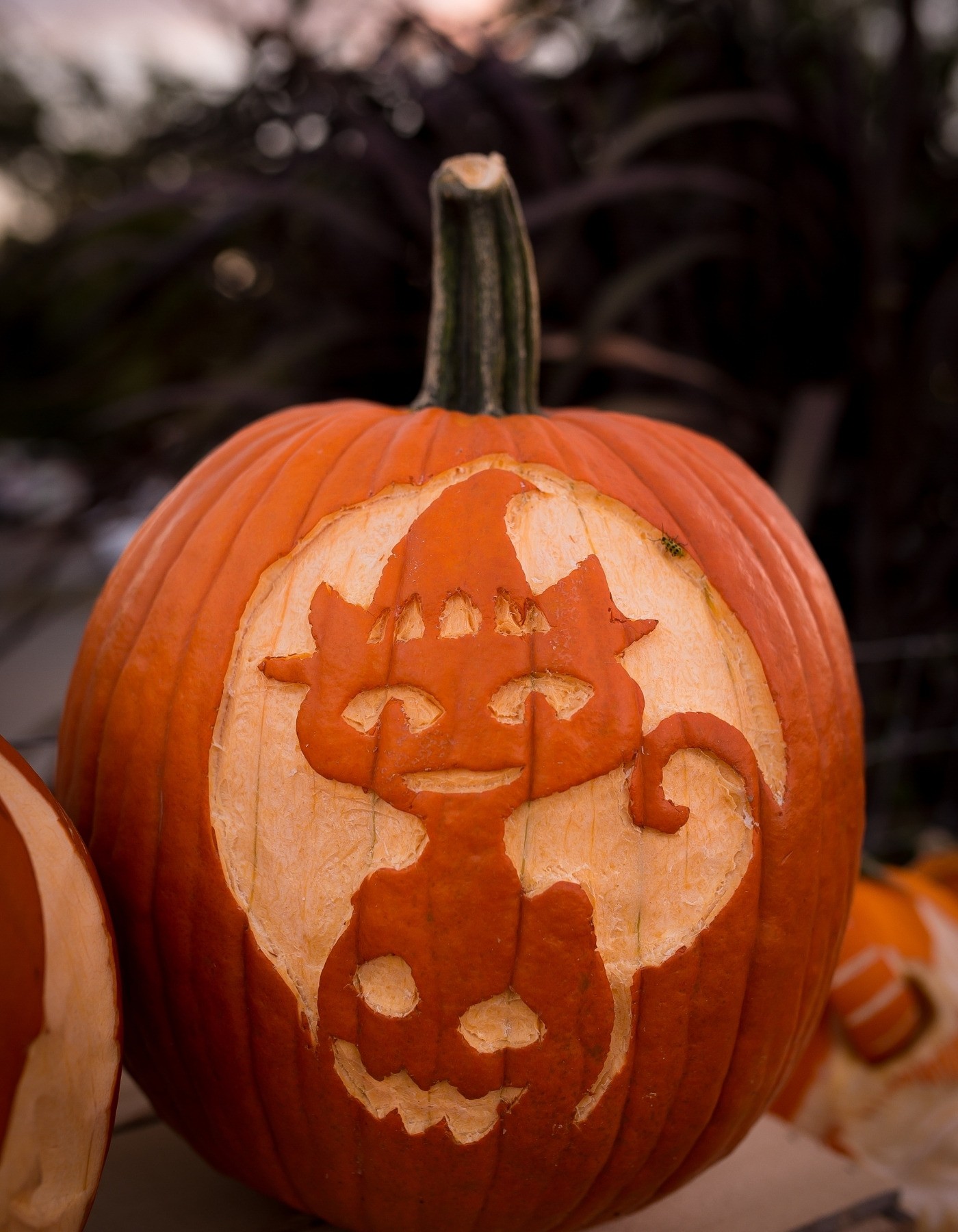 Carved Pumpkin Ideas 2021