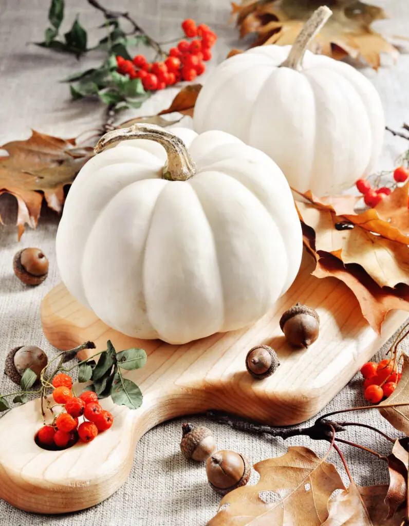 Fall Decor Ideas 2021