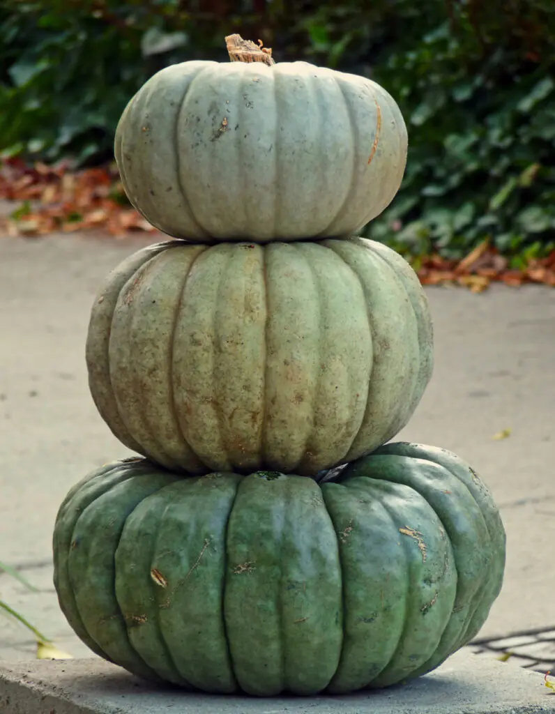 Fall Decor Ideas 2021