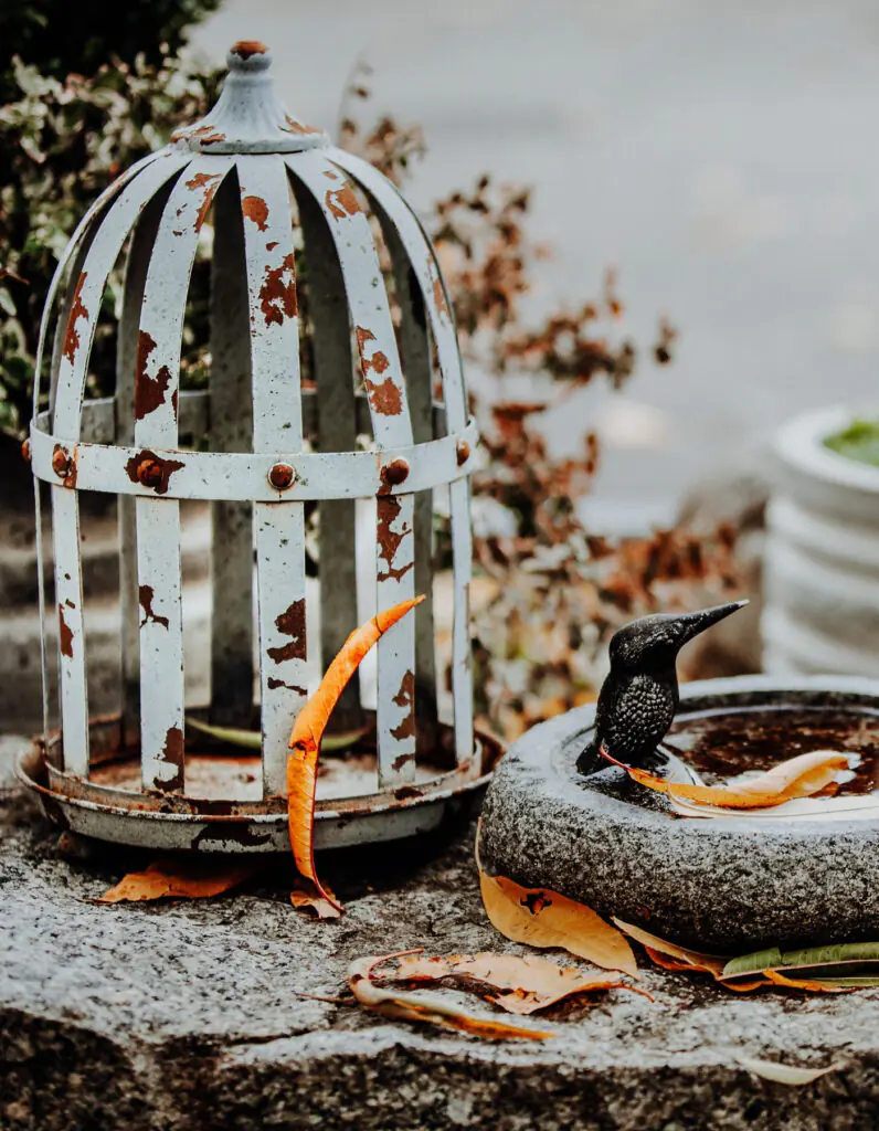 Fall Decor Ideas 2021