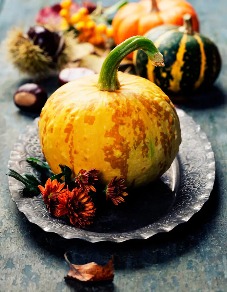 Fall Decor Ideas 2021