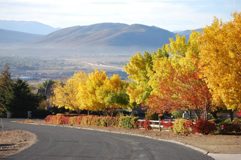 A Beautiful Fall Drive