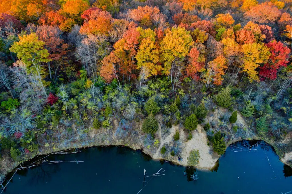 Aerial View of Fall Colors