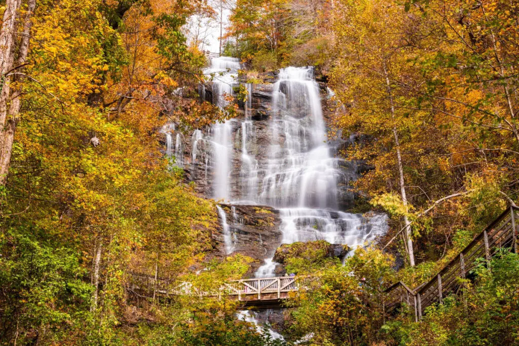 Amicalola Falls Georgia Fall Colors