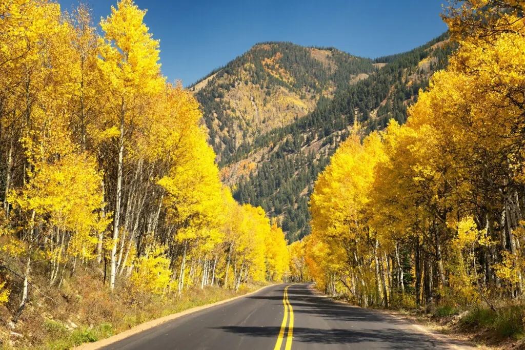 Aspen Colorado Fall Colors