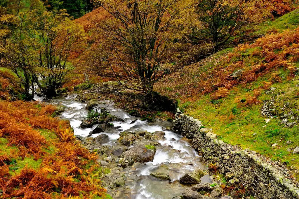 Babbling Brook and Fall Colors